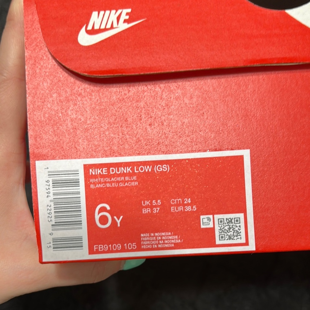 Nike Dunk Low GS in White and Blue